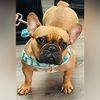 berenicebaby44